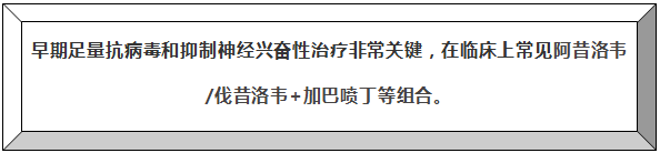 棱台: 早期足量抗病毒和抑制神经兴奋性治疗非常关键，在临床上常见阿昔洛韦/伐昔洛韦+加巴喷丁等组合。

